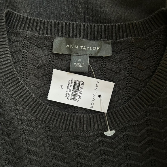 Pointelle Topped Crew (Ann Taylor) - Picture 3 of 3